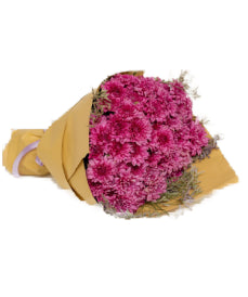 Pure Purple Chrysanthemum Bouquet