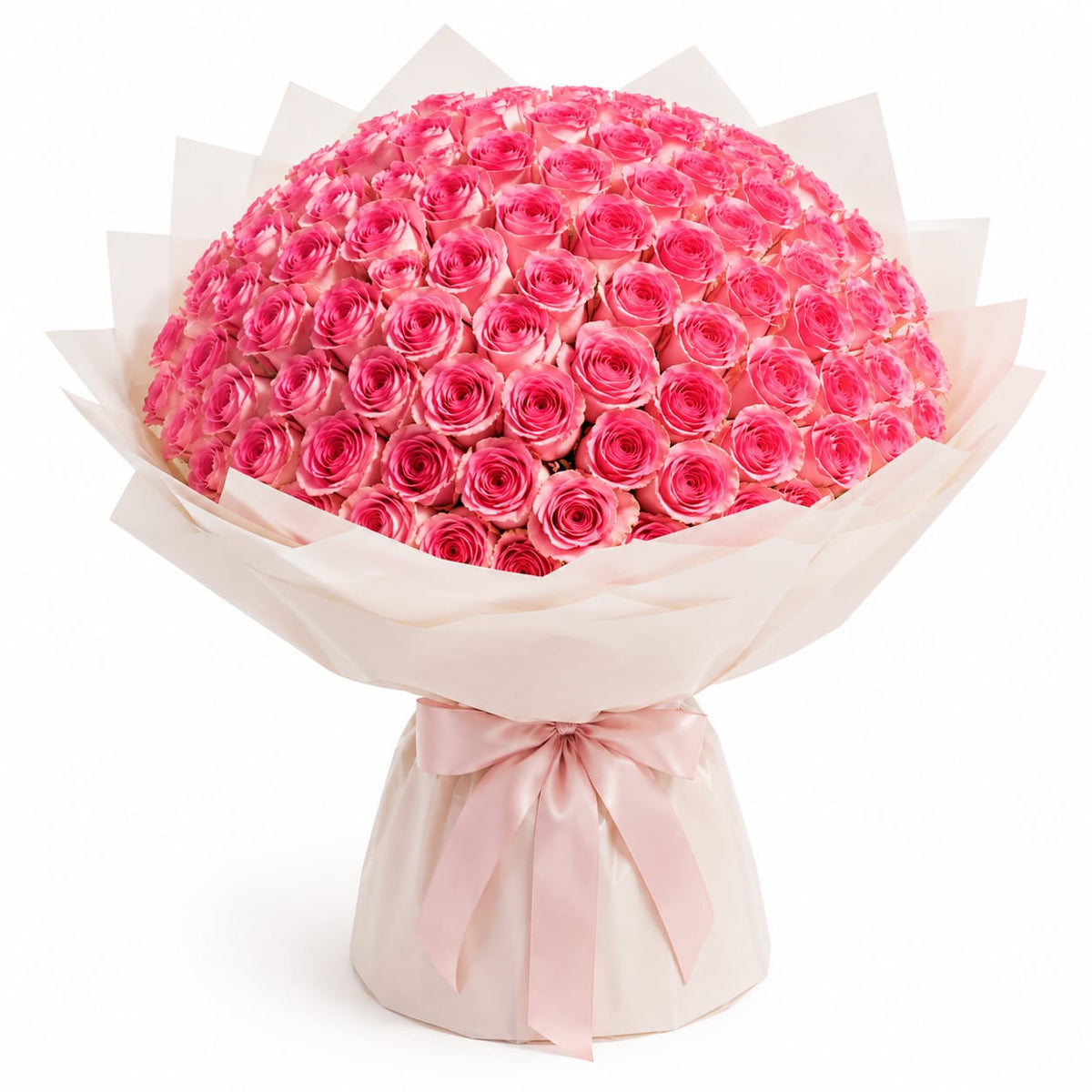 100 imported pink roses