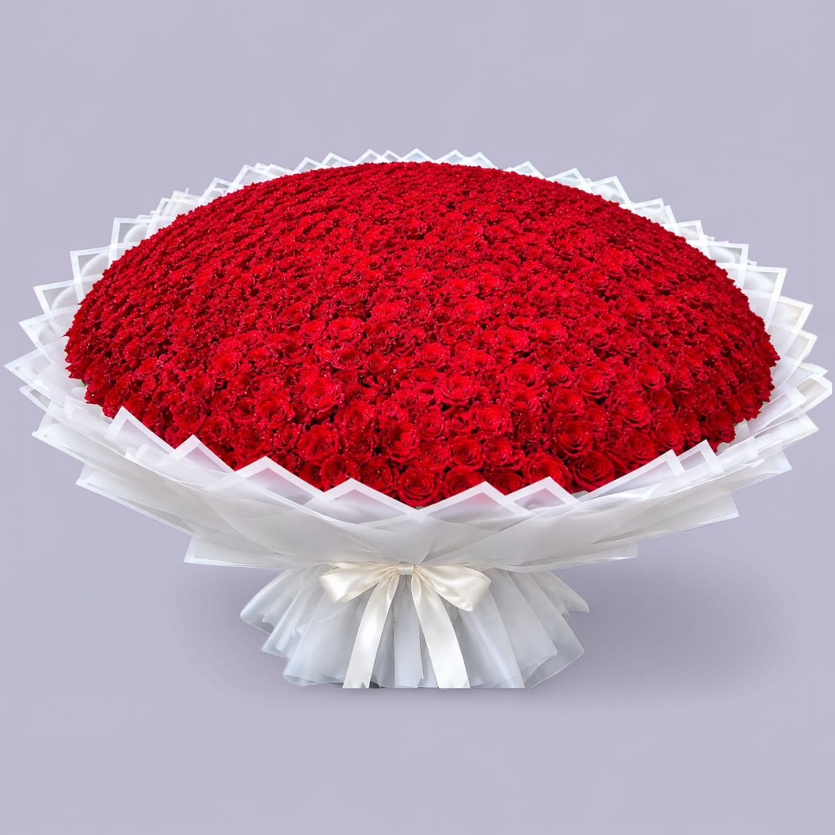 (500 - 1000 ) Red Roses