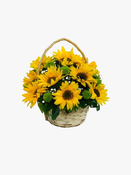 Baskets