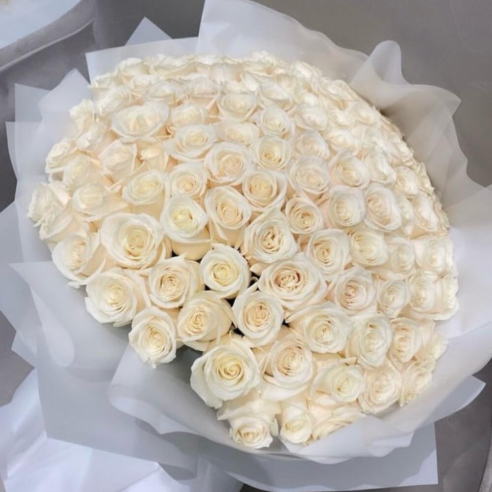 white roses