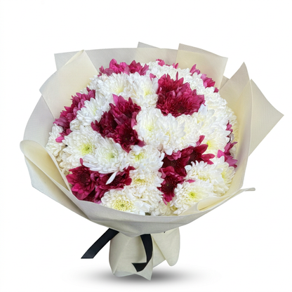 White & Burgundy Chrysanthemums
