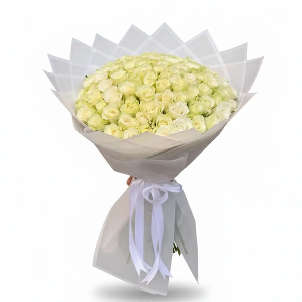 100 imported White roses