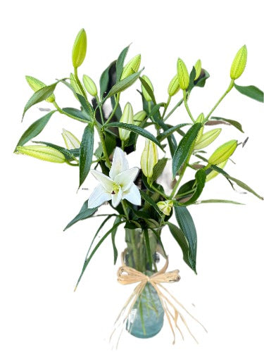 White Lilies Vase