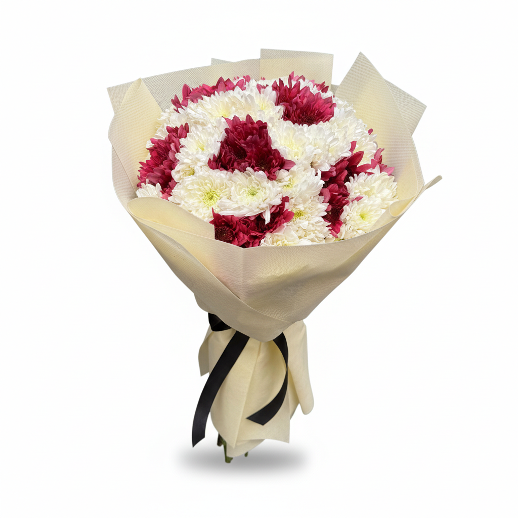 White & Burgundy Chrysanthemums