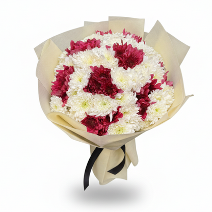 White & Burgundy Chrysanthemums