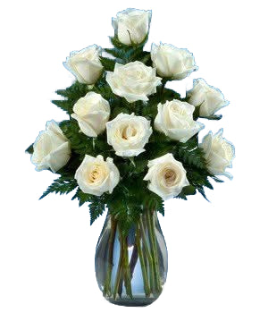 20 White Flowers Vase