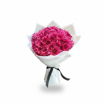 Burgundy Chrysanthemum