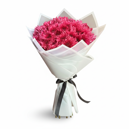 Burgundy Chrysanthemum