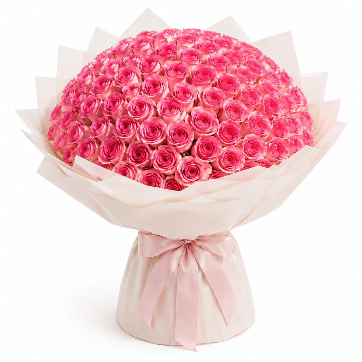 100 imported pink roses