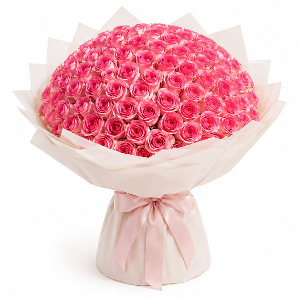100 imported pink roses