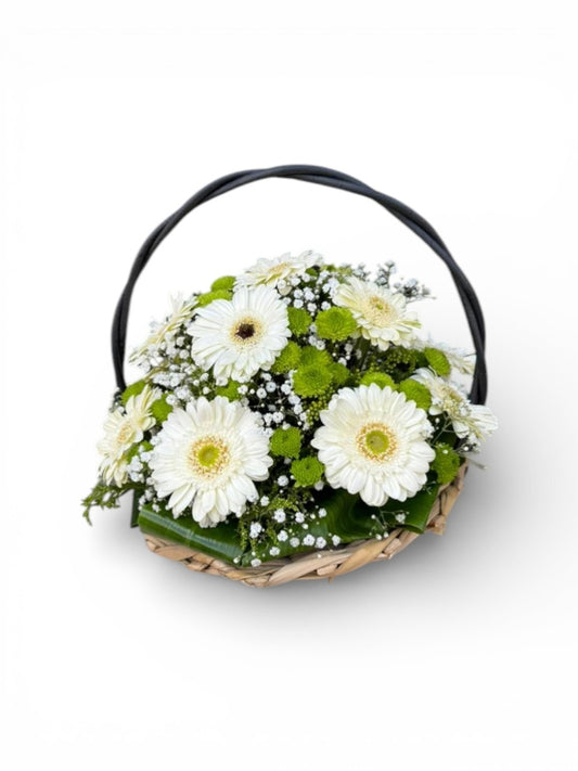 Gerbera basket