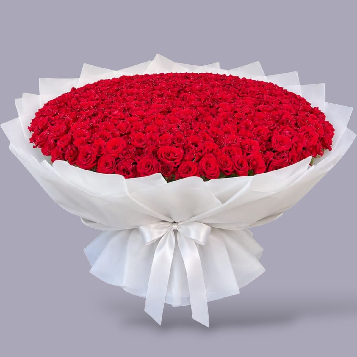 (500 - 1000 ) Red Roses