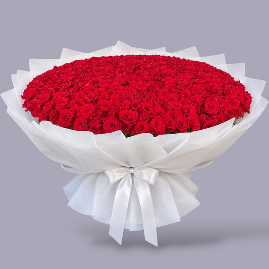 (500 - 1000 ) Red Roses