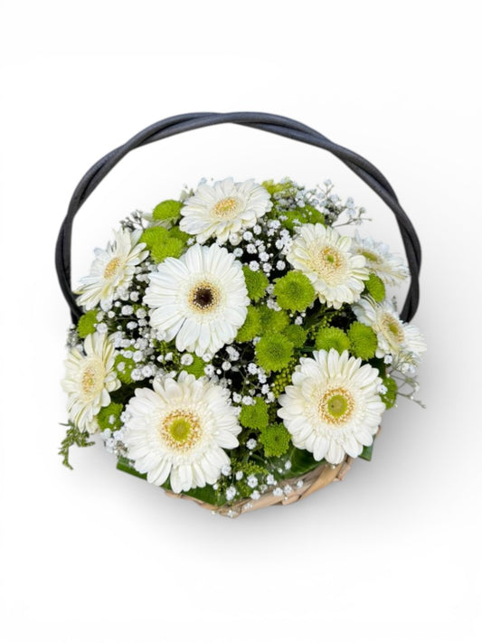 Gerbera basket