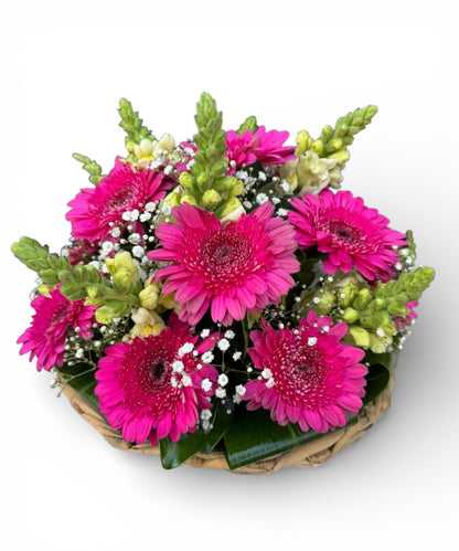 Gerbera basket