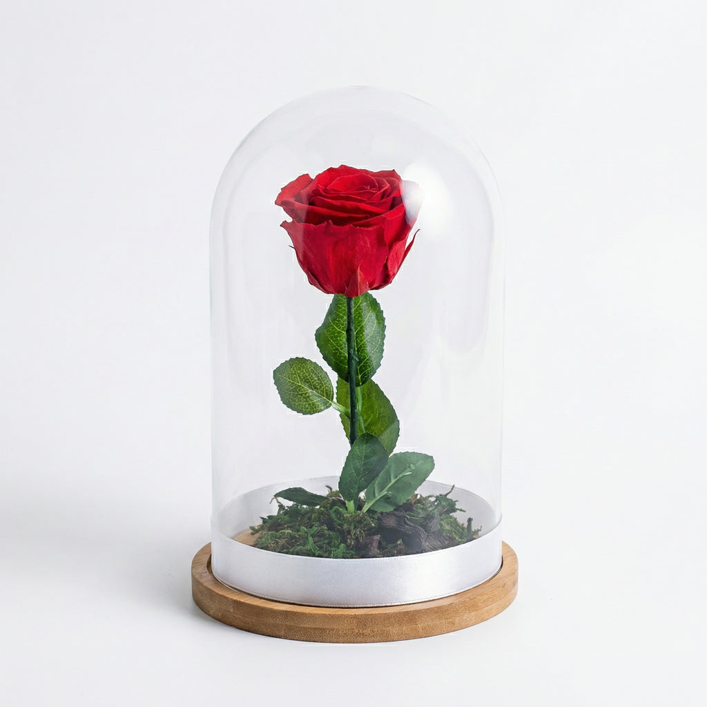 Long life flower